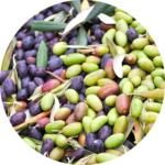 7_Sapori-4-e1727051508925